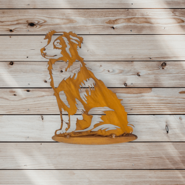 Australian shepherd zittend - Afbeelding 2