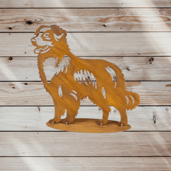 Australian shepherd staand - Afbeelding 2