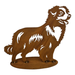 Australian shepherd staand