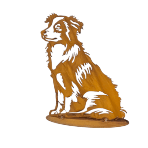 Australian shepherd zittend