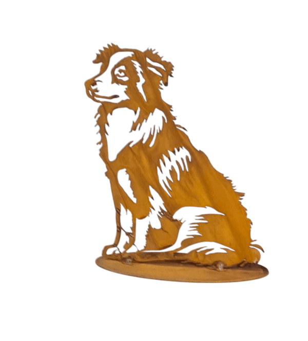 Australian shepherd zittend