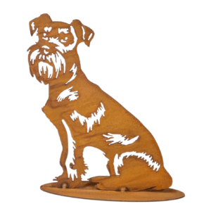 Schnauzer zittend