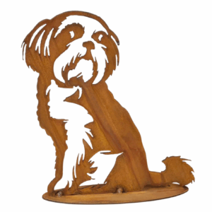 Shih tzu zittend