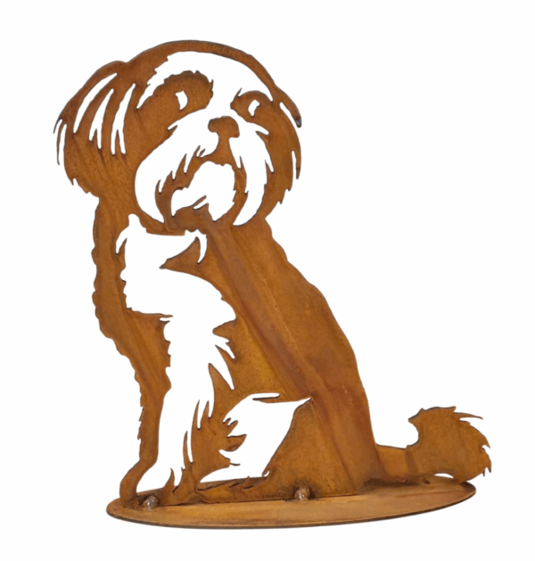 Shih tzu zittend
